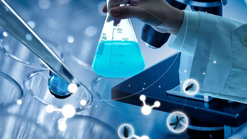 分子生物学试剂盒：规格分类与选购要点解析