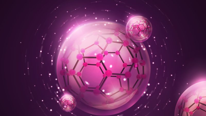PCR引物纯化方法选择注意事项