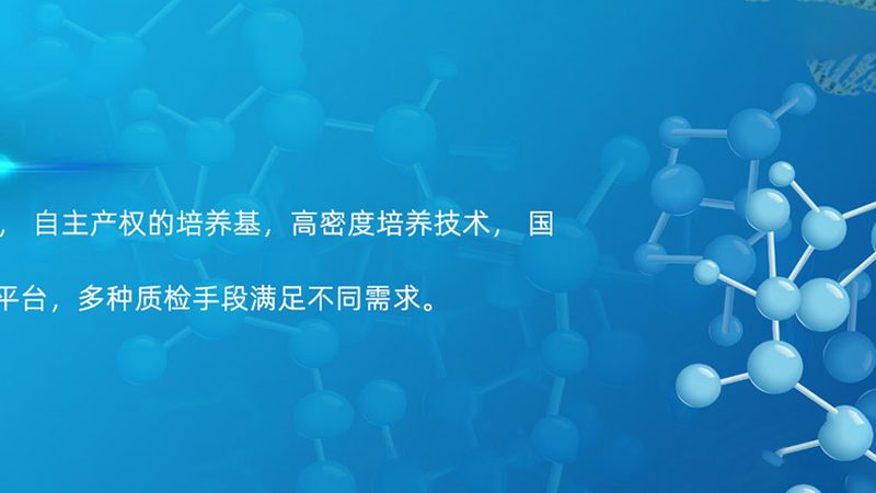 上海生物科技公司质量体系标准：构建生物医药的坚实基石