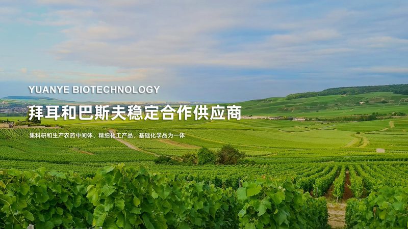 高糖DMEM培养基：揭秘其规格参数与细胞培养的奥秘**