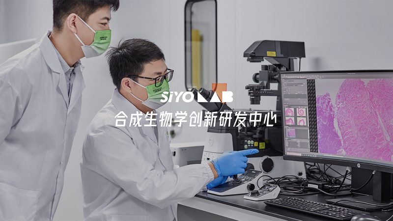 细胞工厂材质怎么分