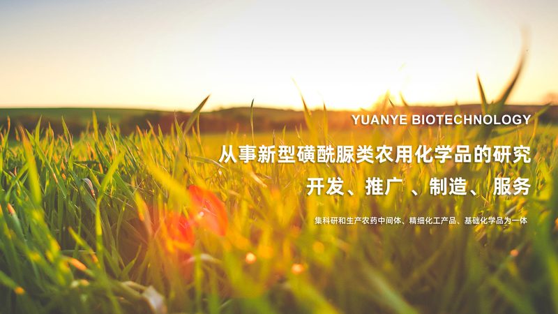 CRO优化与用户体验：在生物科技领域的关键区别