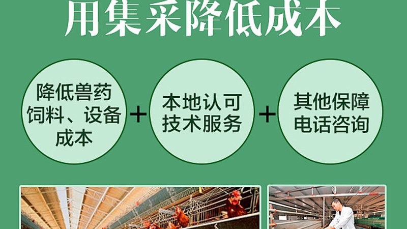 离心管根据材质、容量、用途等不同特点，可以分为以下几类：