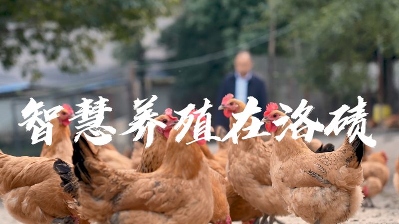 培养基4度保存，有效期有多久？揭秘细胞培养中的关键环节**