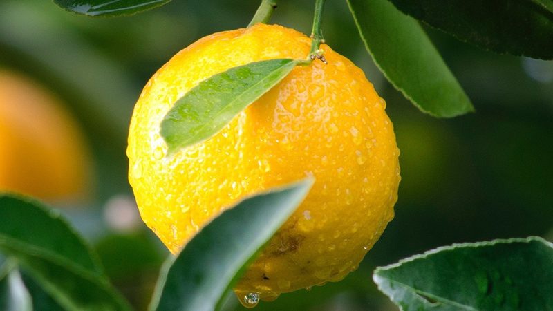 生物医药基地选址：关键因素与策略解析**