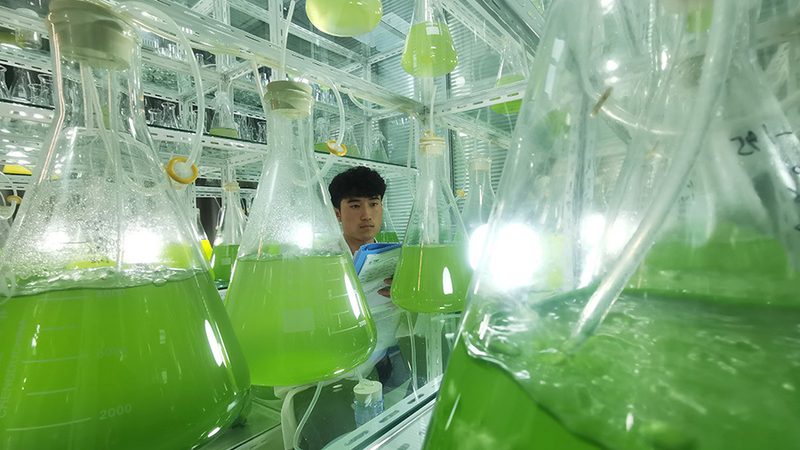 成都PCR检测定制服务：精准防控，守护健康防线